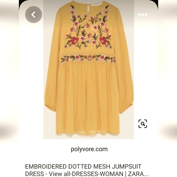 Size- S, ZARA Embroidered mesh jumpsuit dress. - Picture 2 of 10